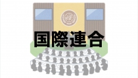 国際連合