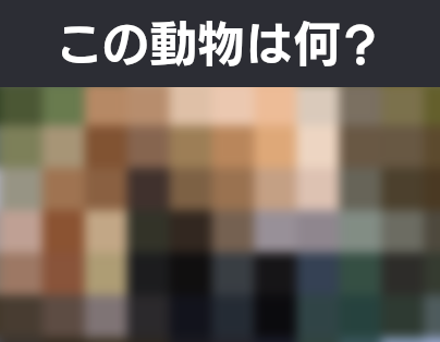 この動物は何 モザイク Vol 34 クイズ専門情報サイト Quiz Bang クイズバン