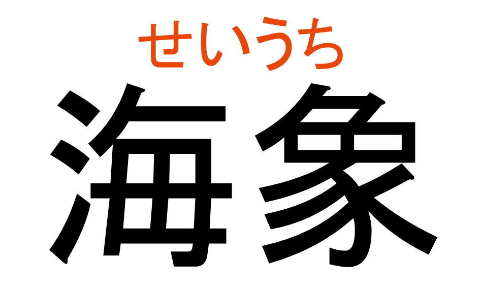 せいうち