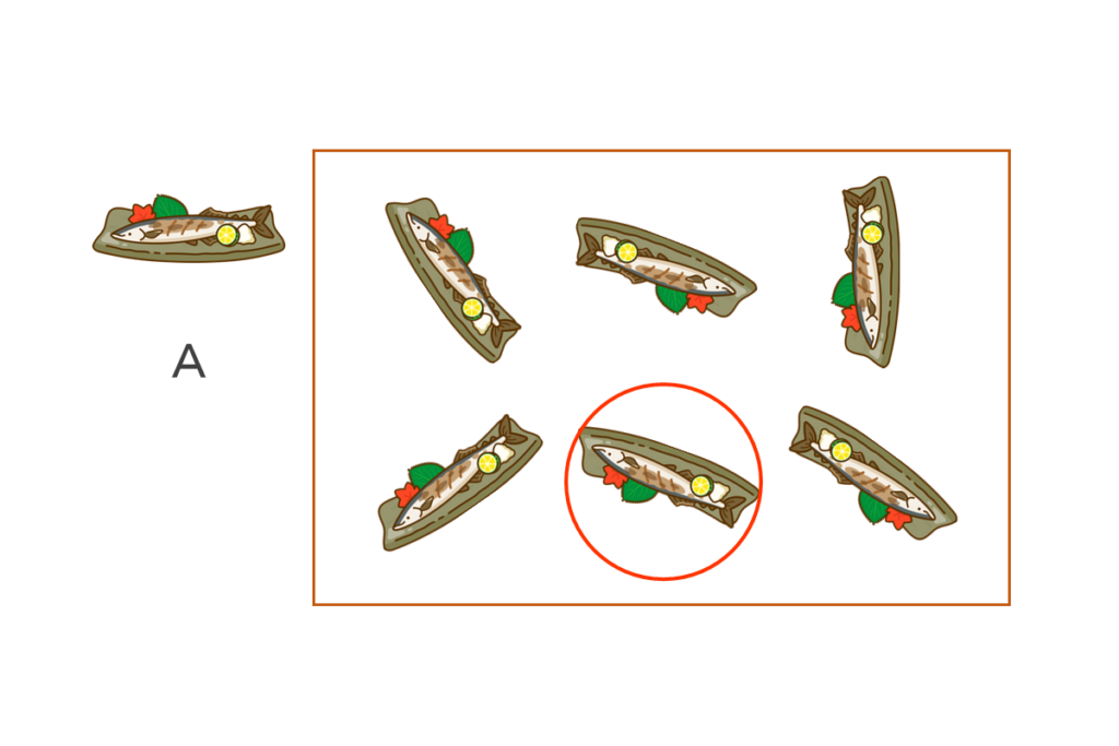 【2問目】Aと違うサンマはどれでしょう？　答え