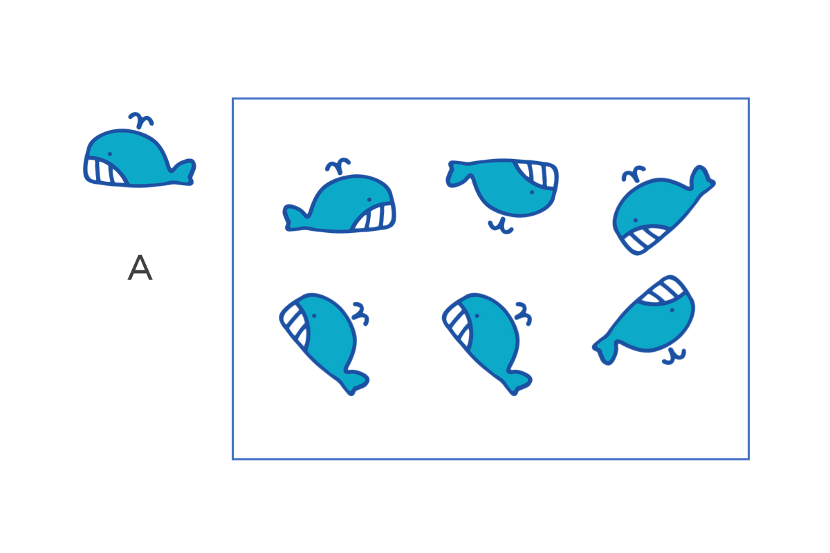 【1問目】Aと違うクジラはどれでしょう？